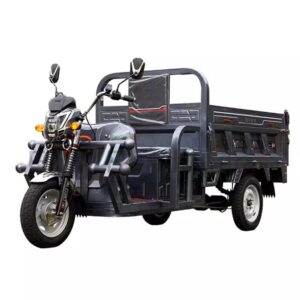 W89 Custom electric tricycle, self-dumping for home cargo transport, heavy-duty truck for hilly areas.