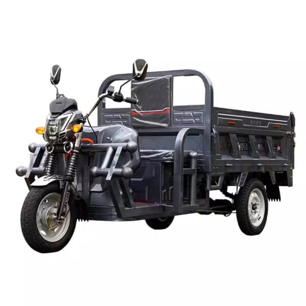 W89 Custom electric tricycle, self-dumping for home cargo transport, heavy-duty truck for hilly areas.